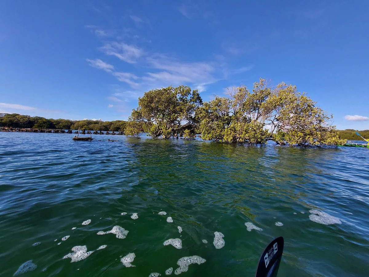 Adelaide Dolphin Sanctuary