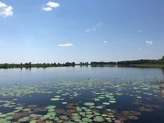Fogg Dam Conservation Reserve