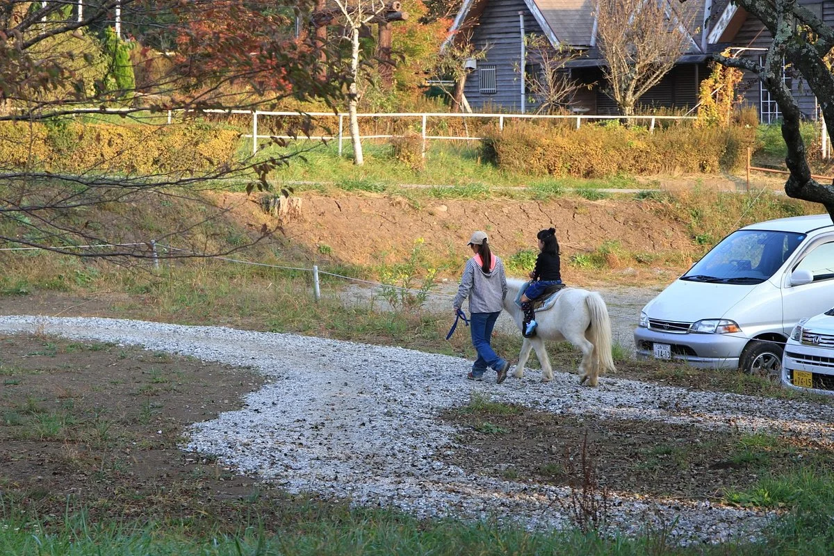 Yatsugatake Western Ranch