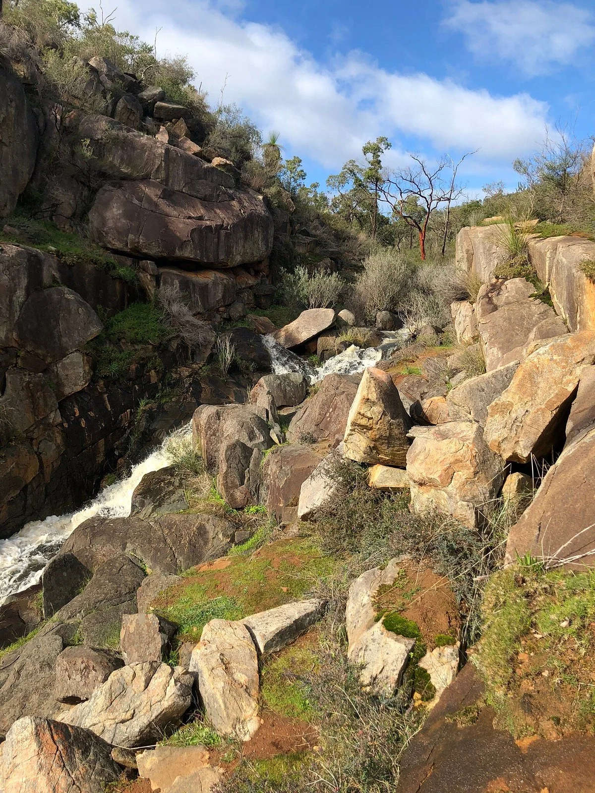 Paruna Sanctuary