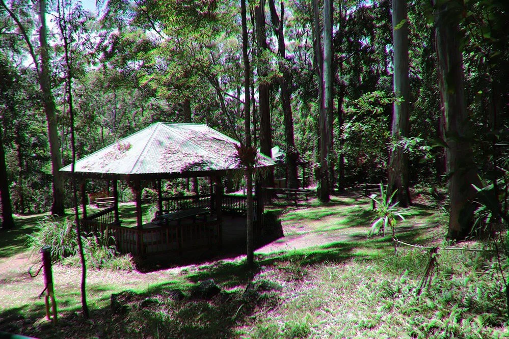 Foote Sanctuary of Buderim