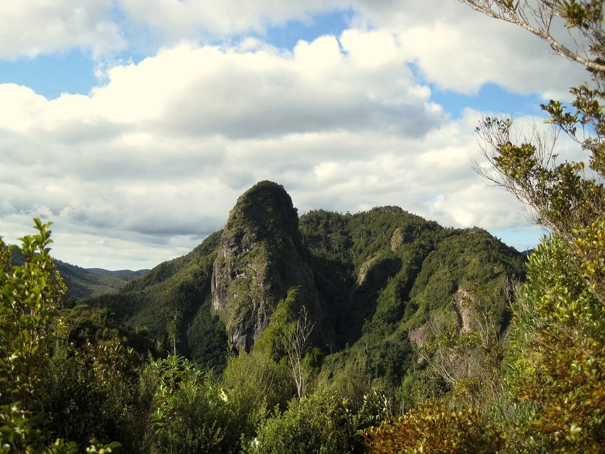 Kauaeranga Visitor Centre