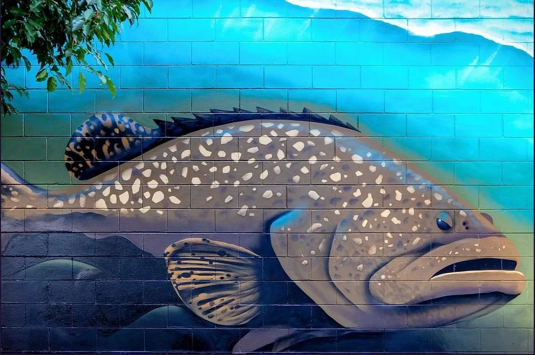 Darwin Street Art Festival