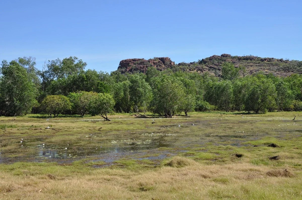 Anbangbang Billabong