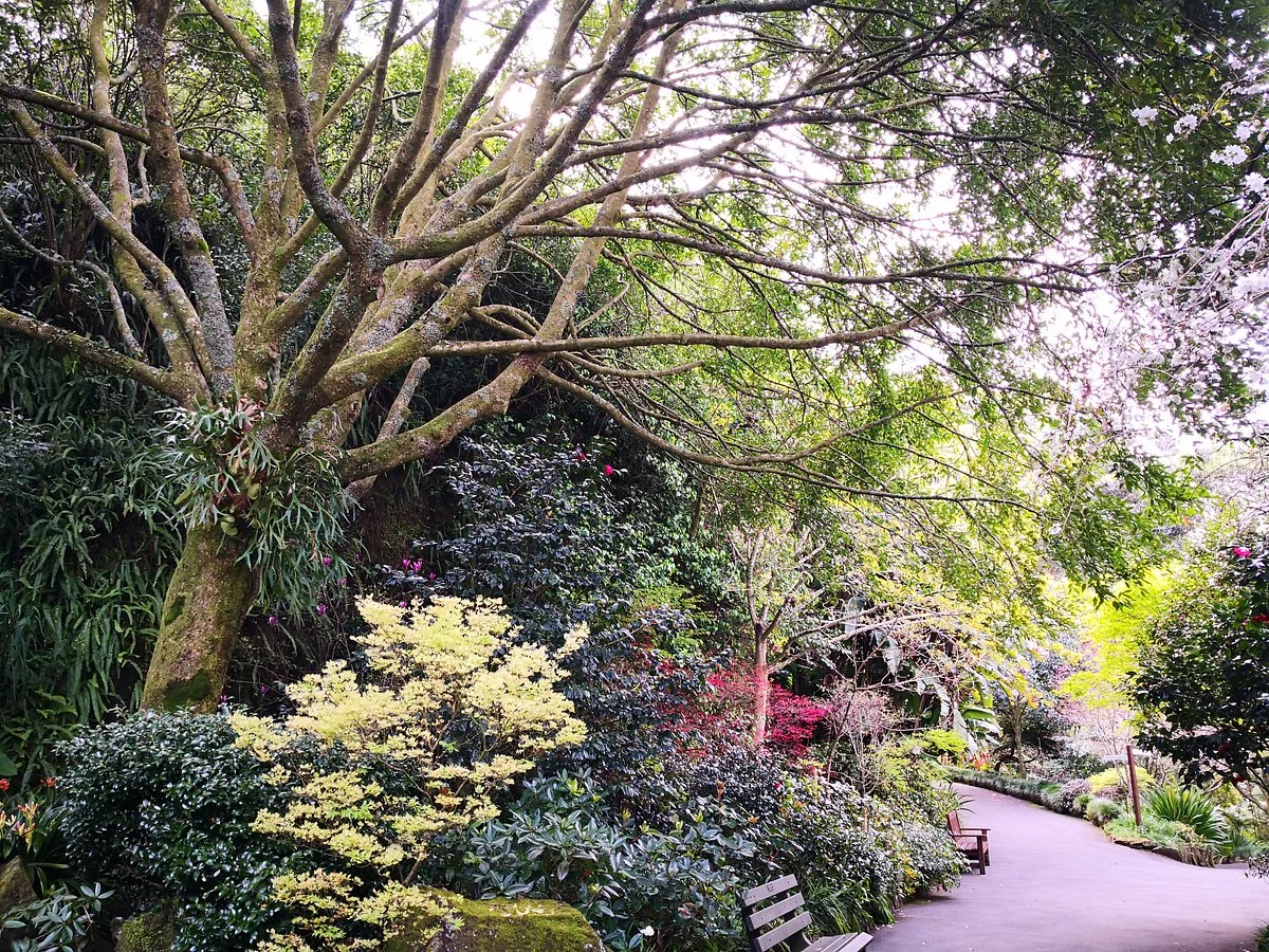 Eden Garden
