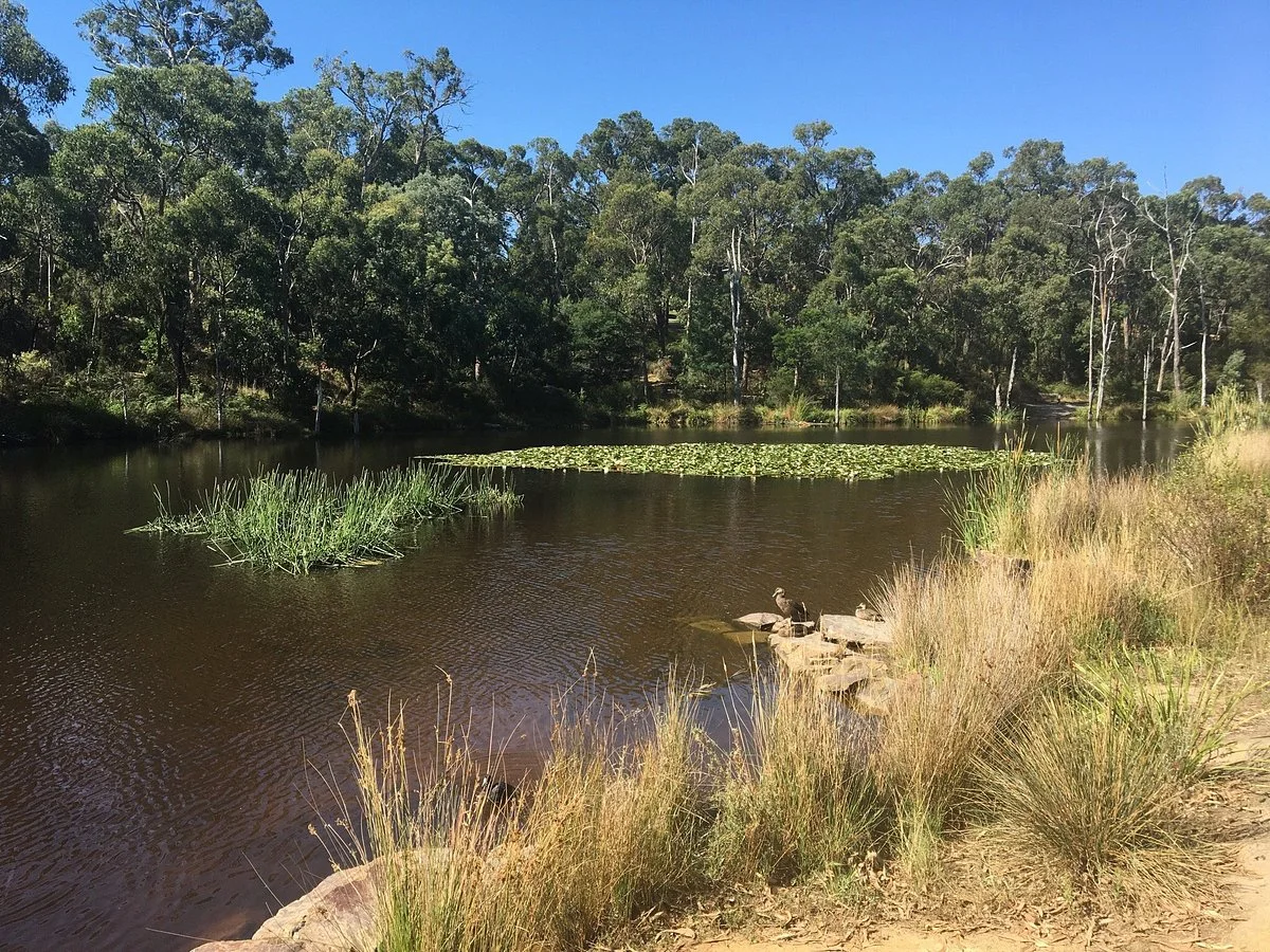 Candlebark Walk Reserve