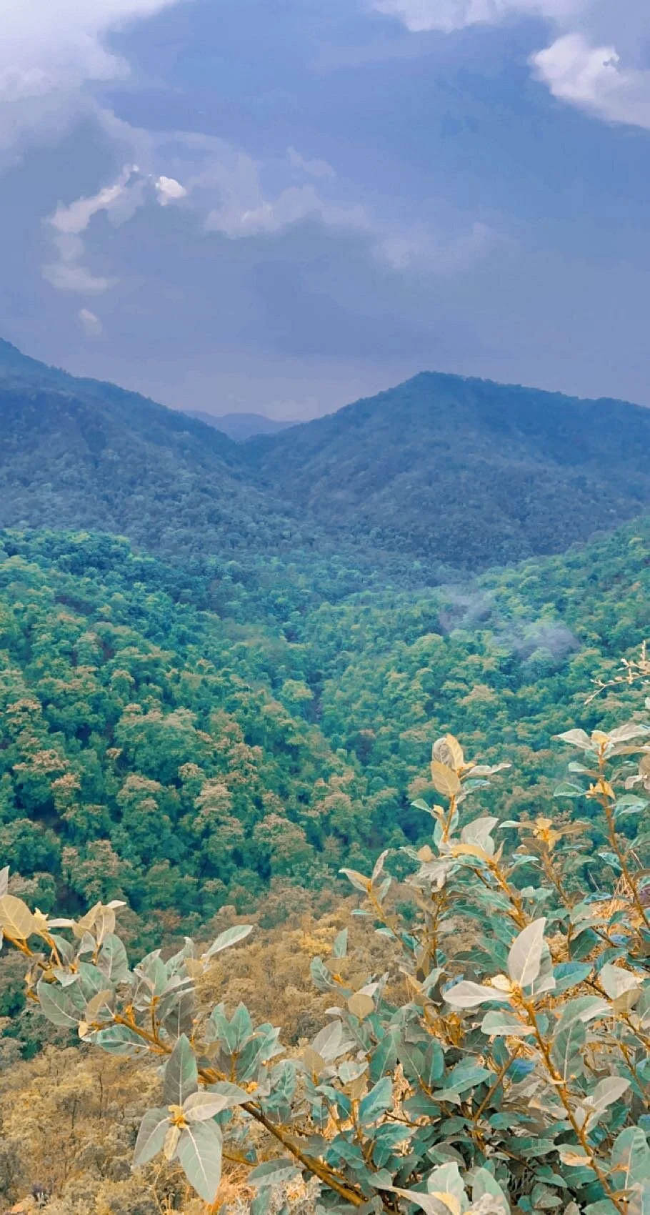 Chilkahrada Wild Life Sanctuary