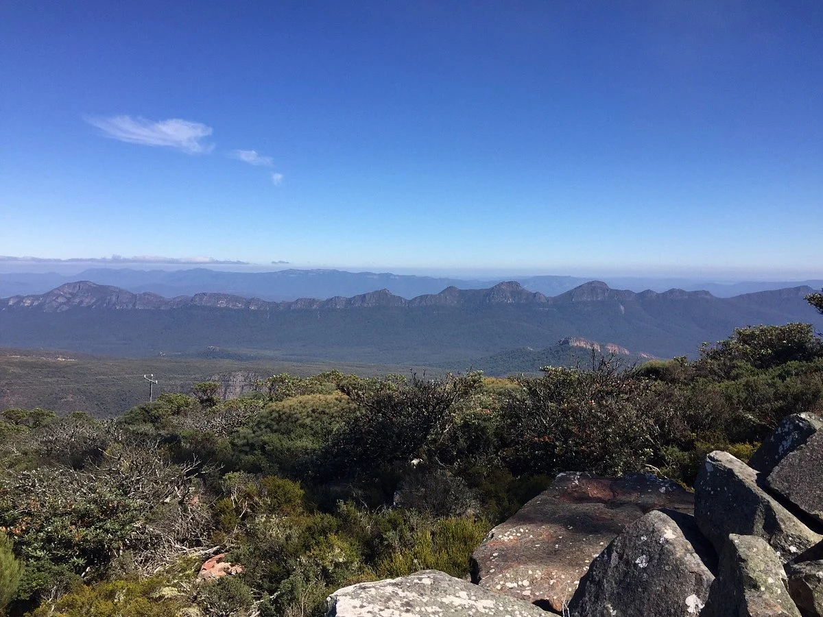 Mt William