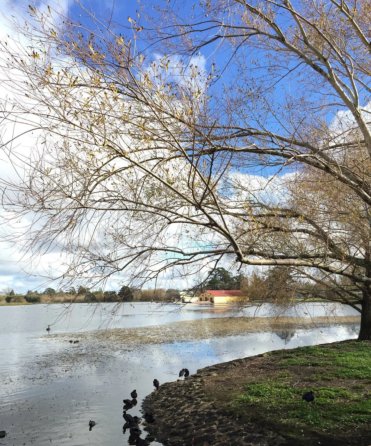 Lake Wendouree Adventure Playground