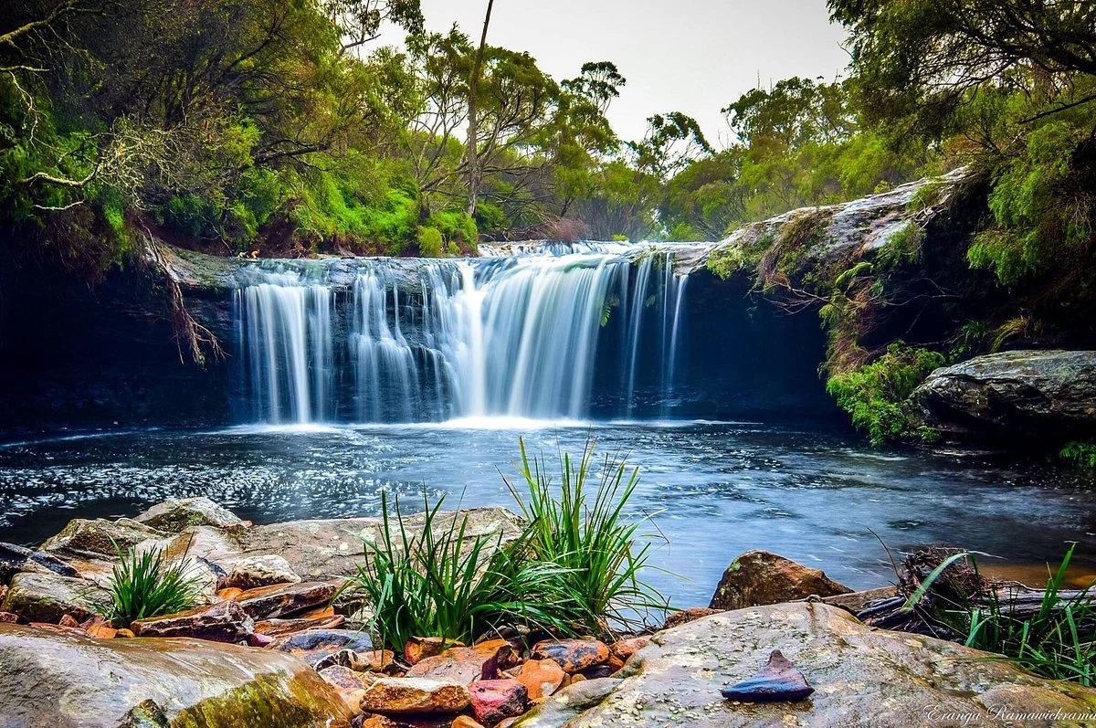 Budderoo National Park