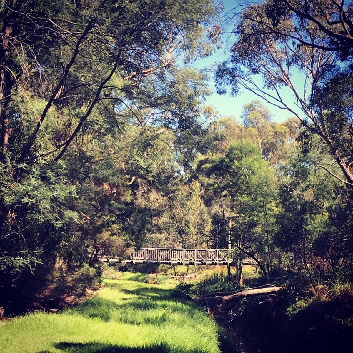 Mullum Mullum Creek Trail