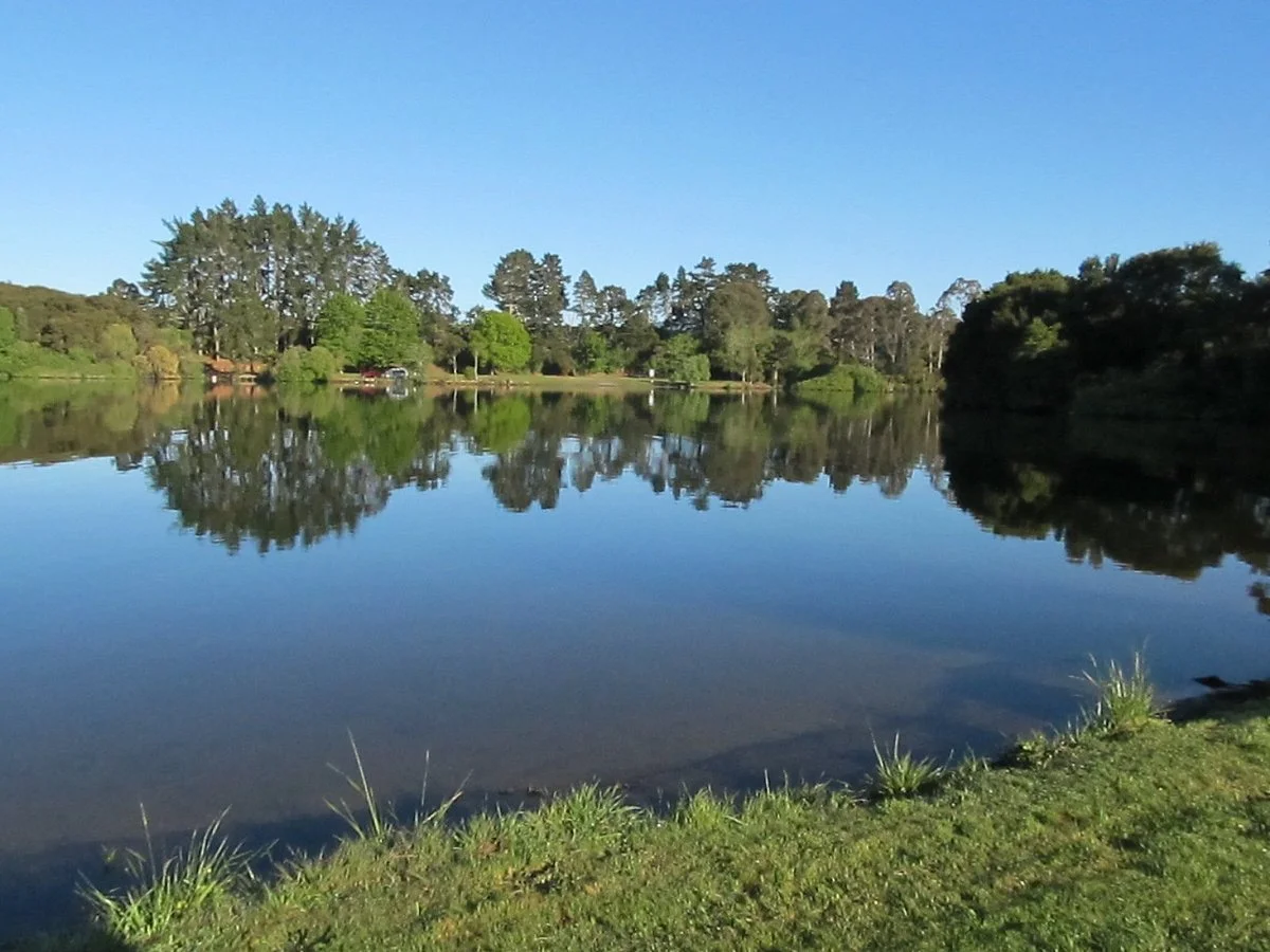 Waikato River Trails