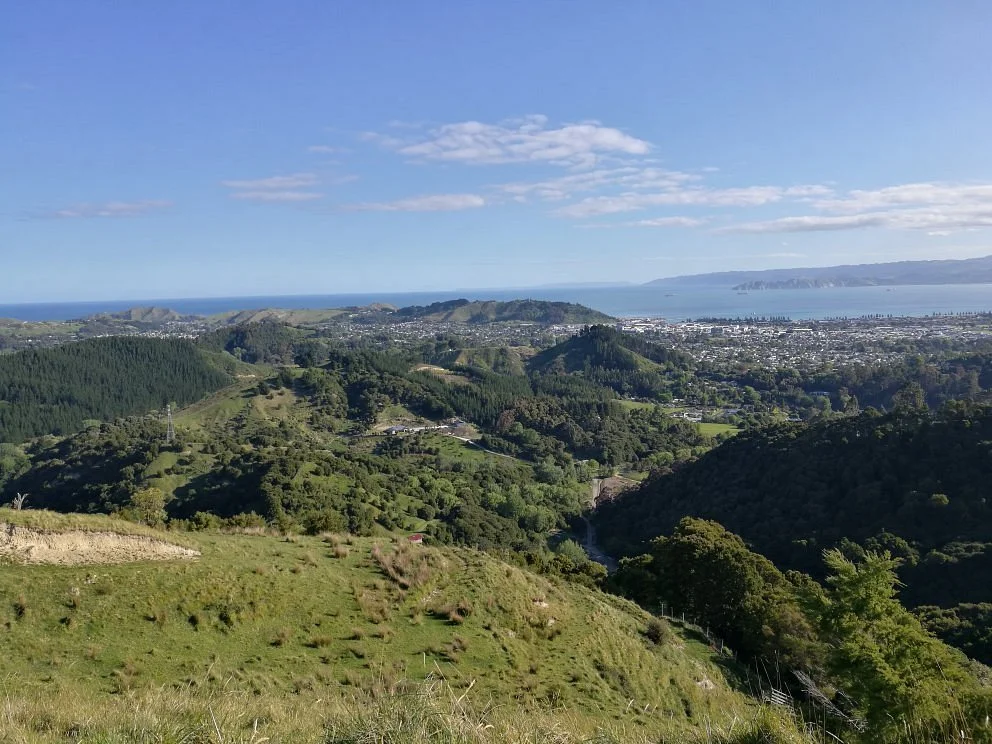 Te Kuri Farm Walkway