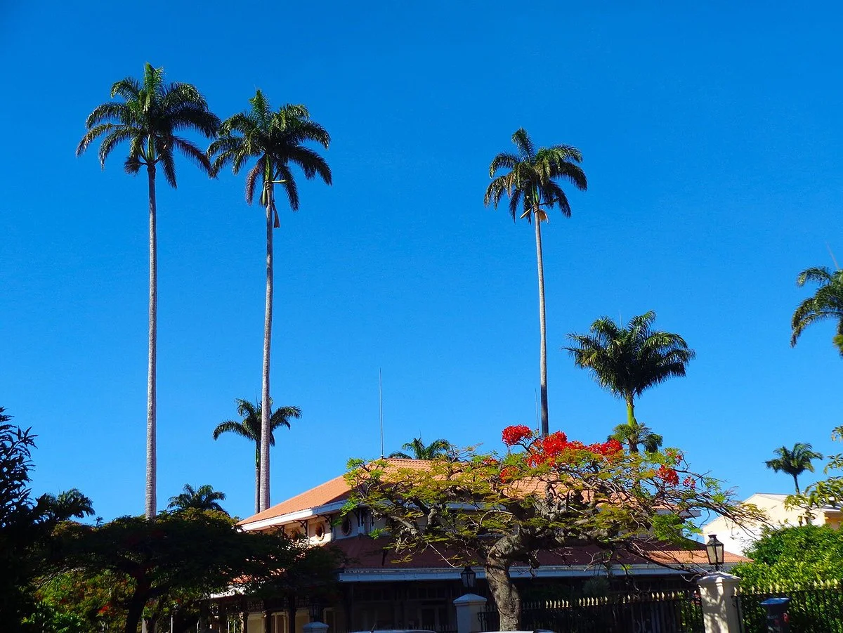 Musee de la Ville de Noumea