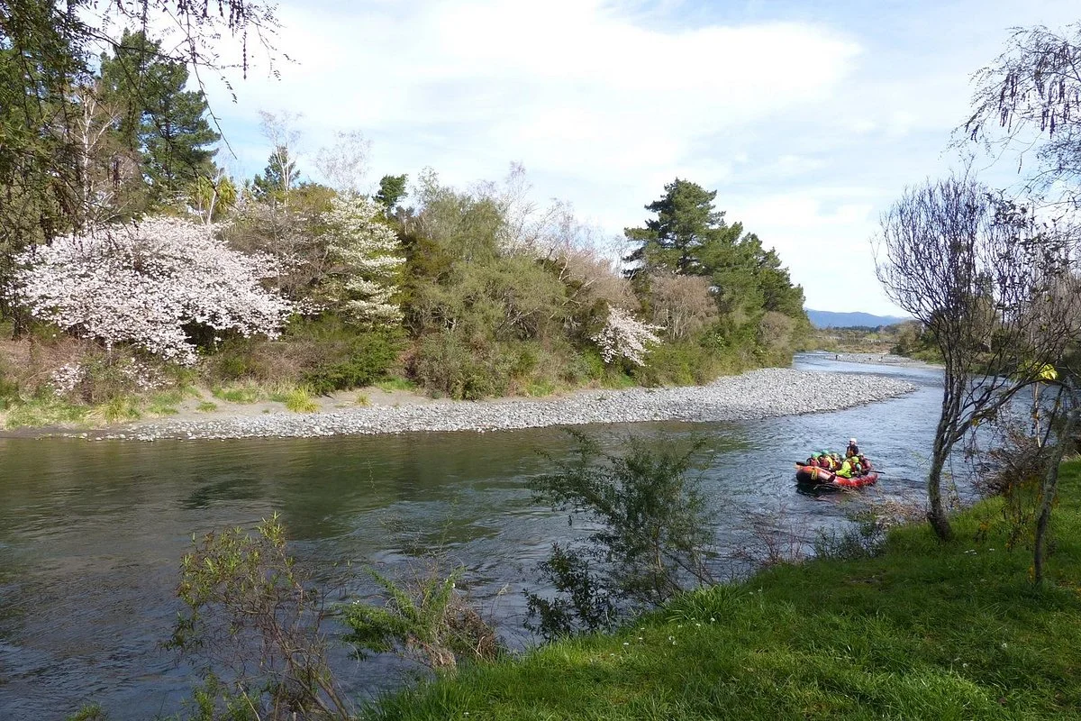Tongariro River