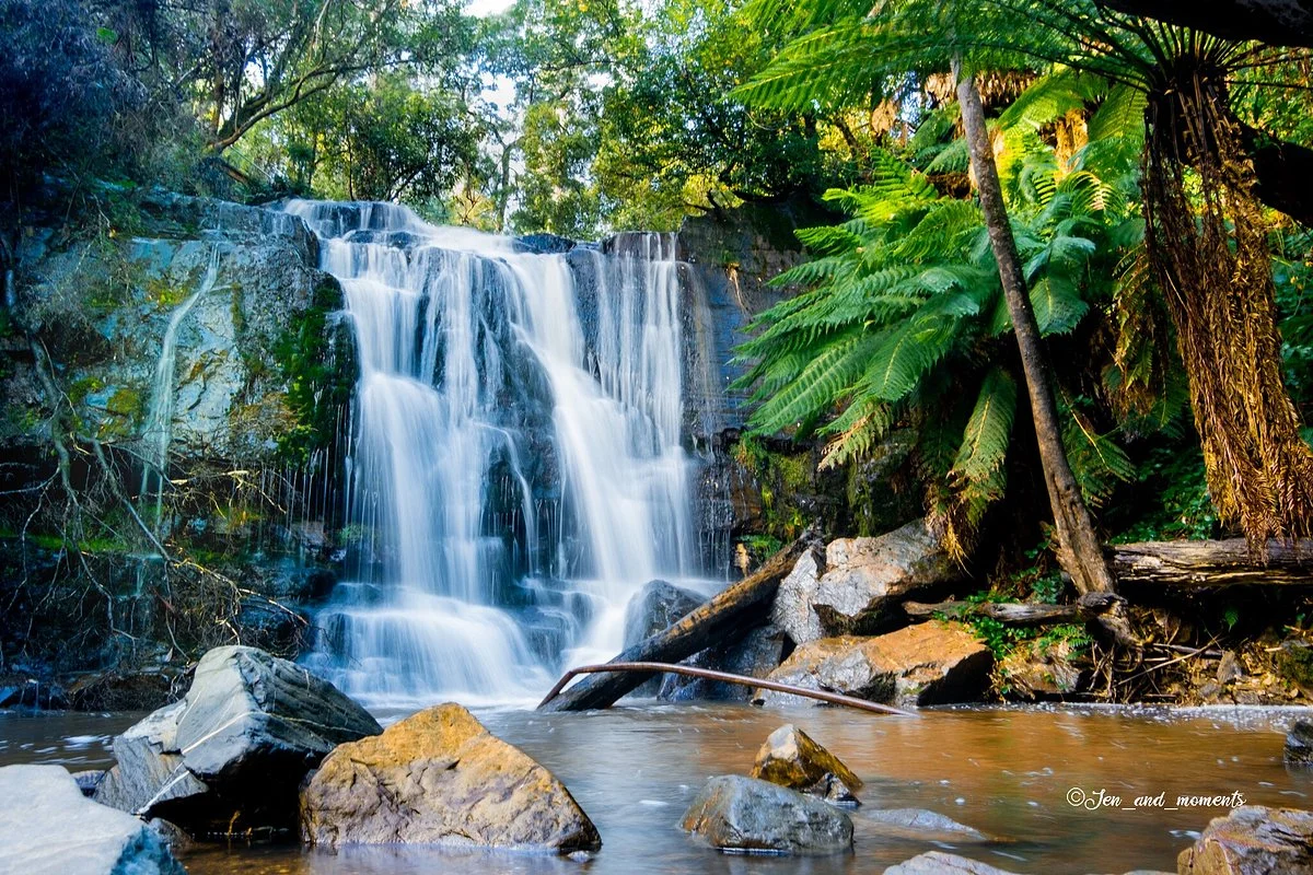 Lilydale Falls