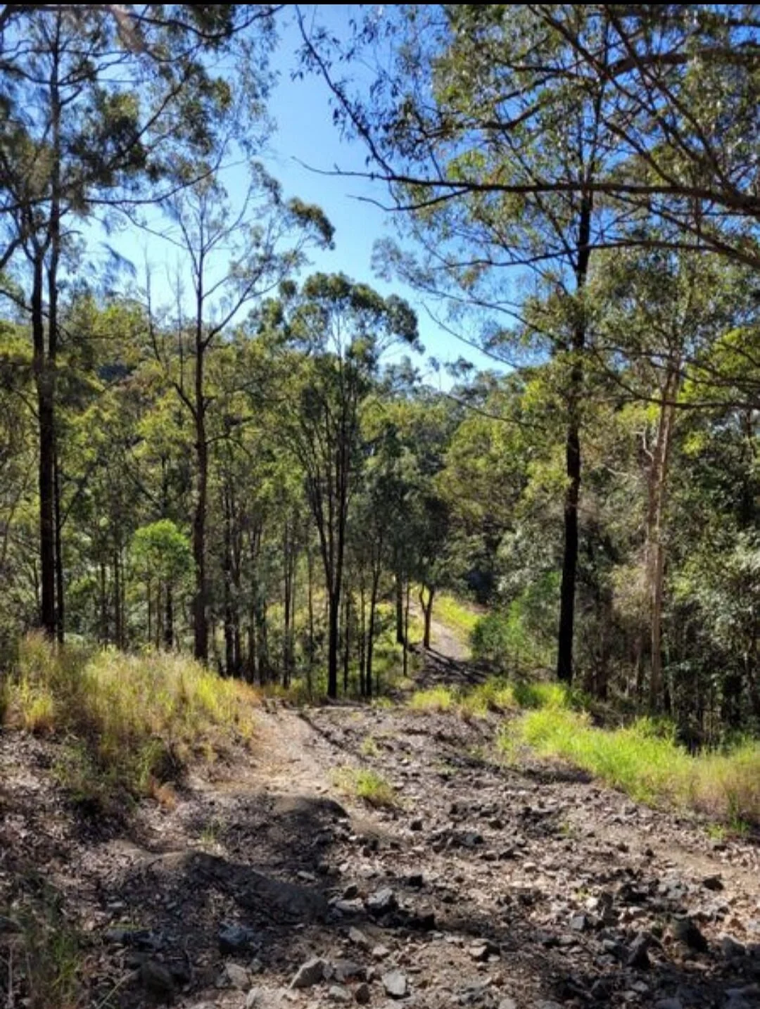 Dularcha National Park