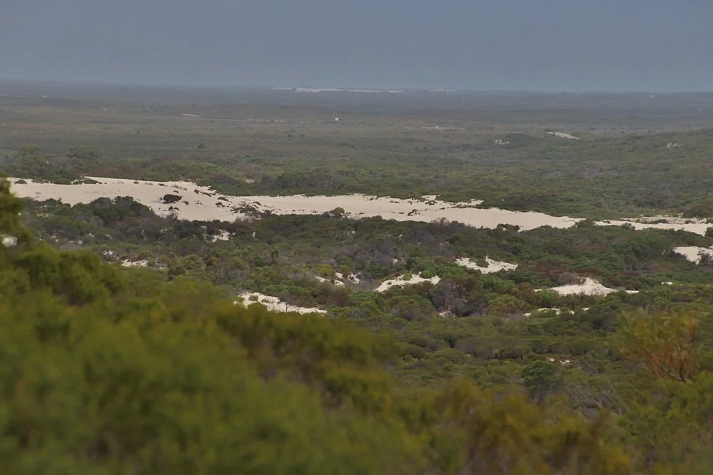 Molah Hill Lookout