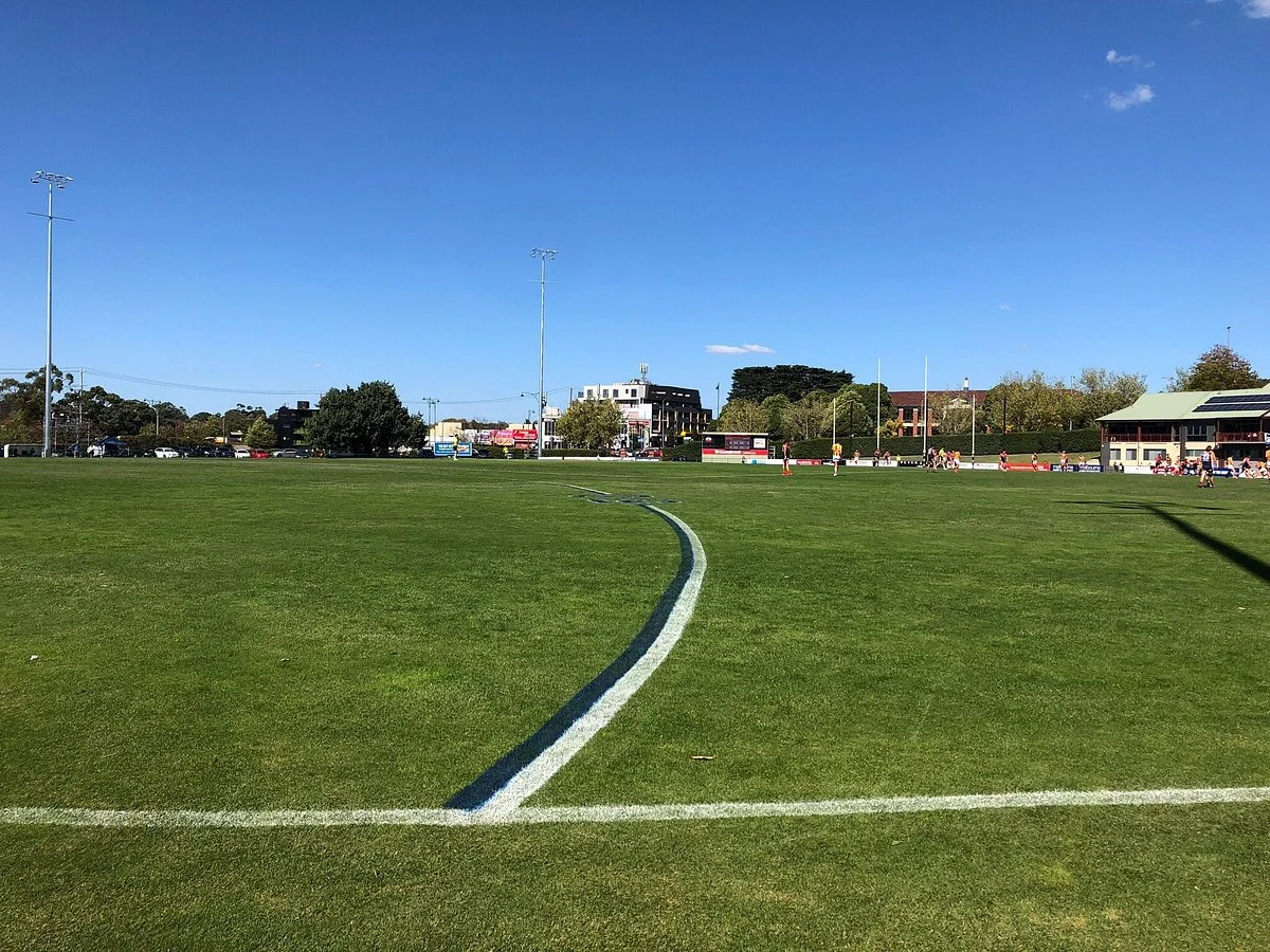 Box Hill City Oval