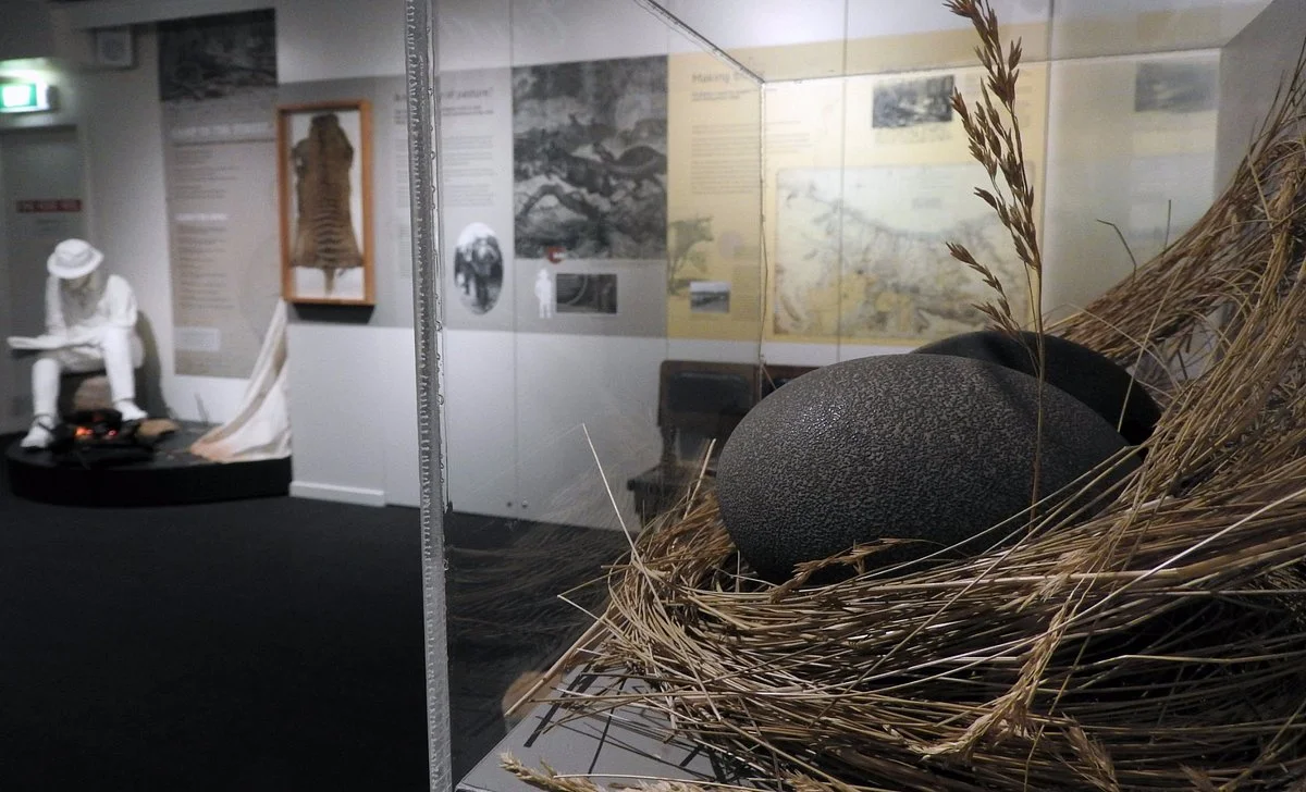 Burnie Regional Museum