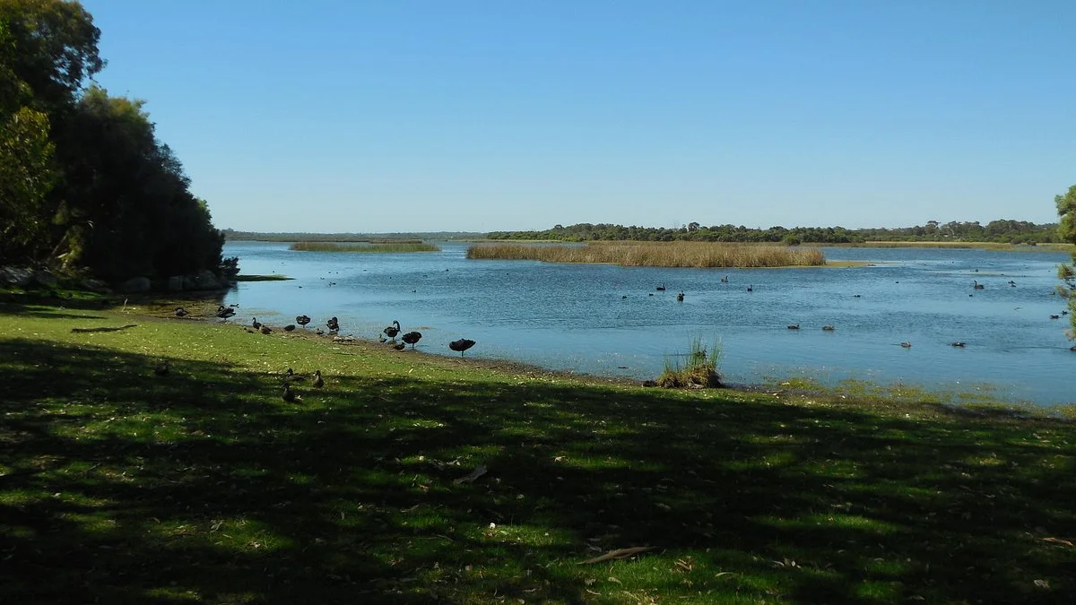 Yellagonga Regional Park
