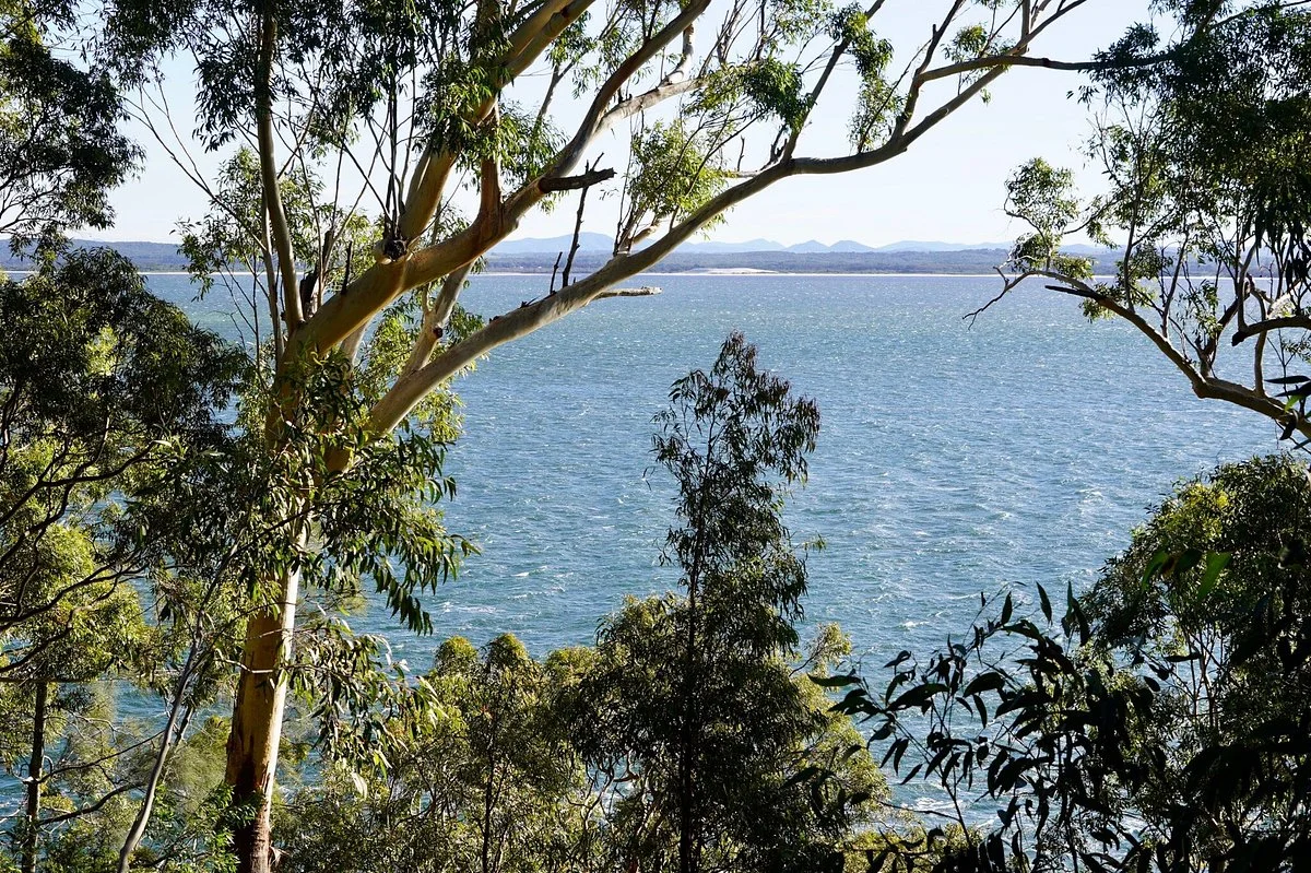 Port Stephens Native Flora Garden