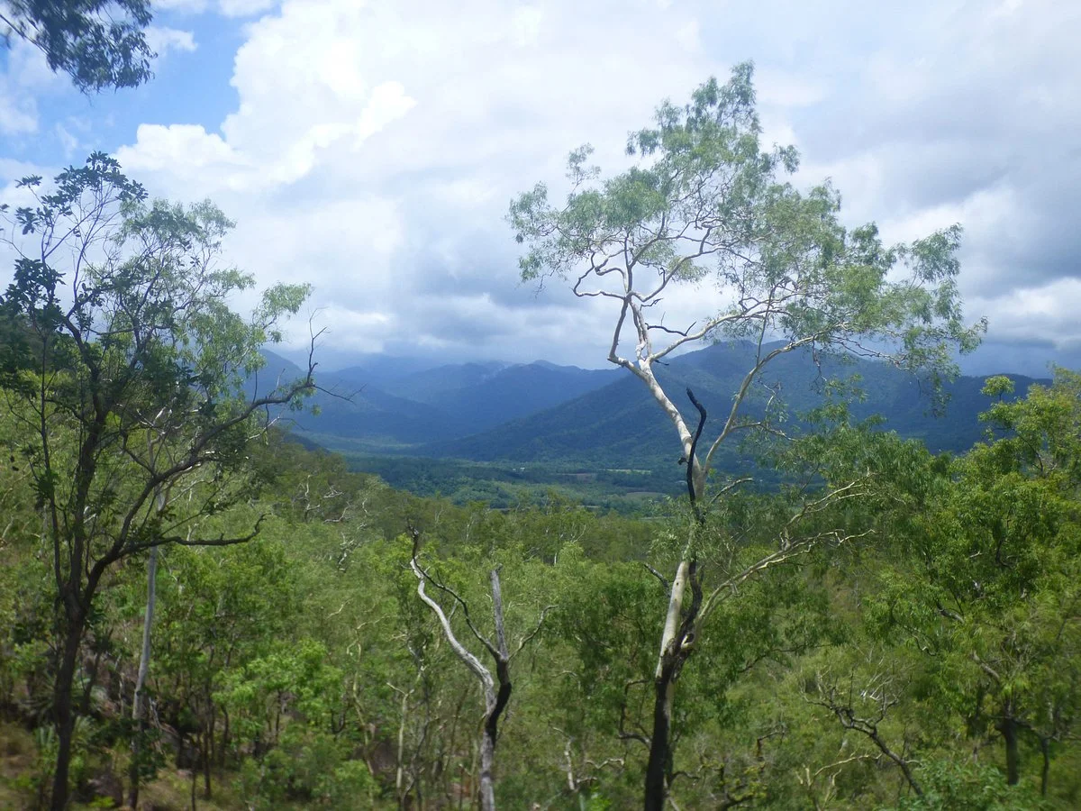 Gillies Range