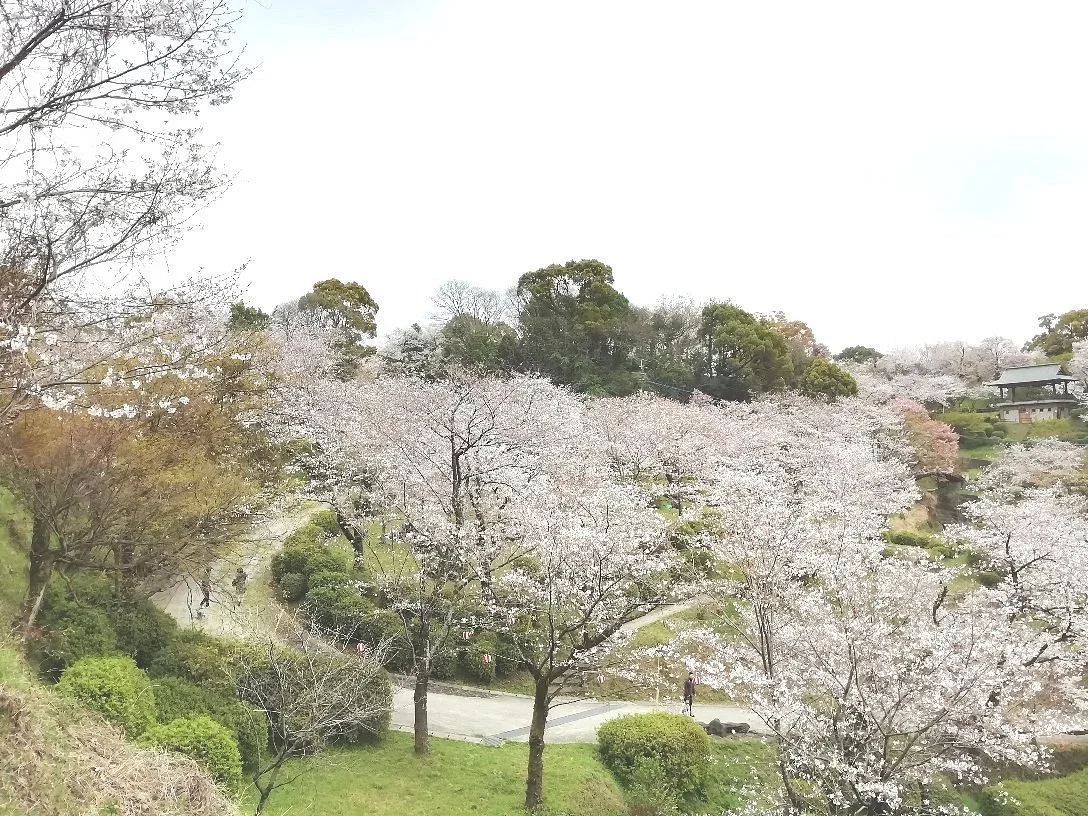 Kikuchi Park