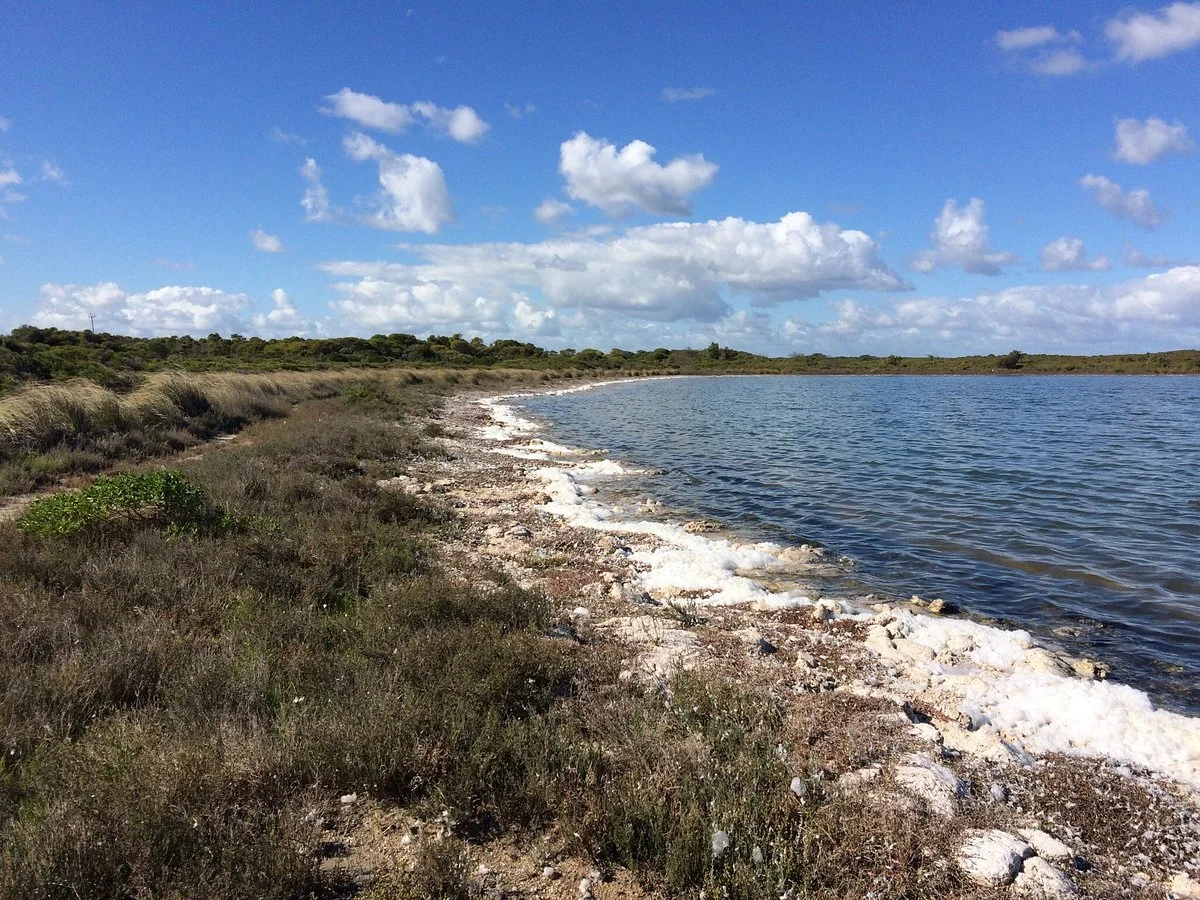Stromatolites