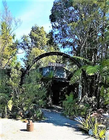 Mitchells Gully Goldmine