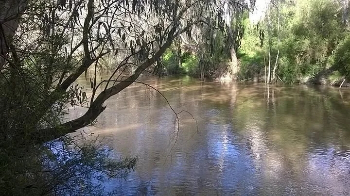 Yarra Flats Park