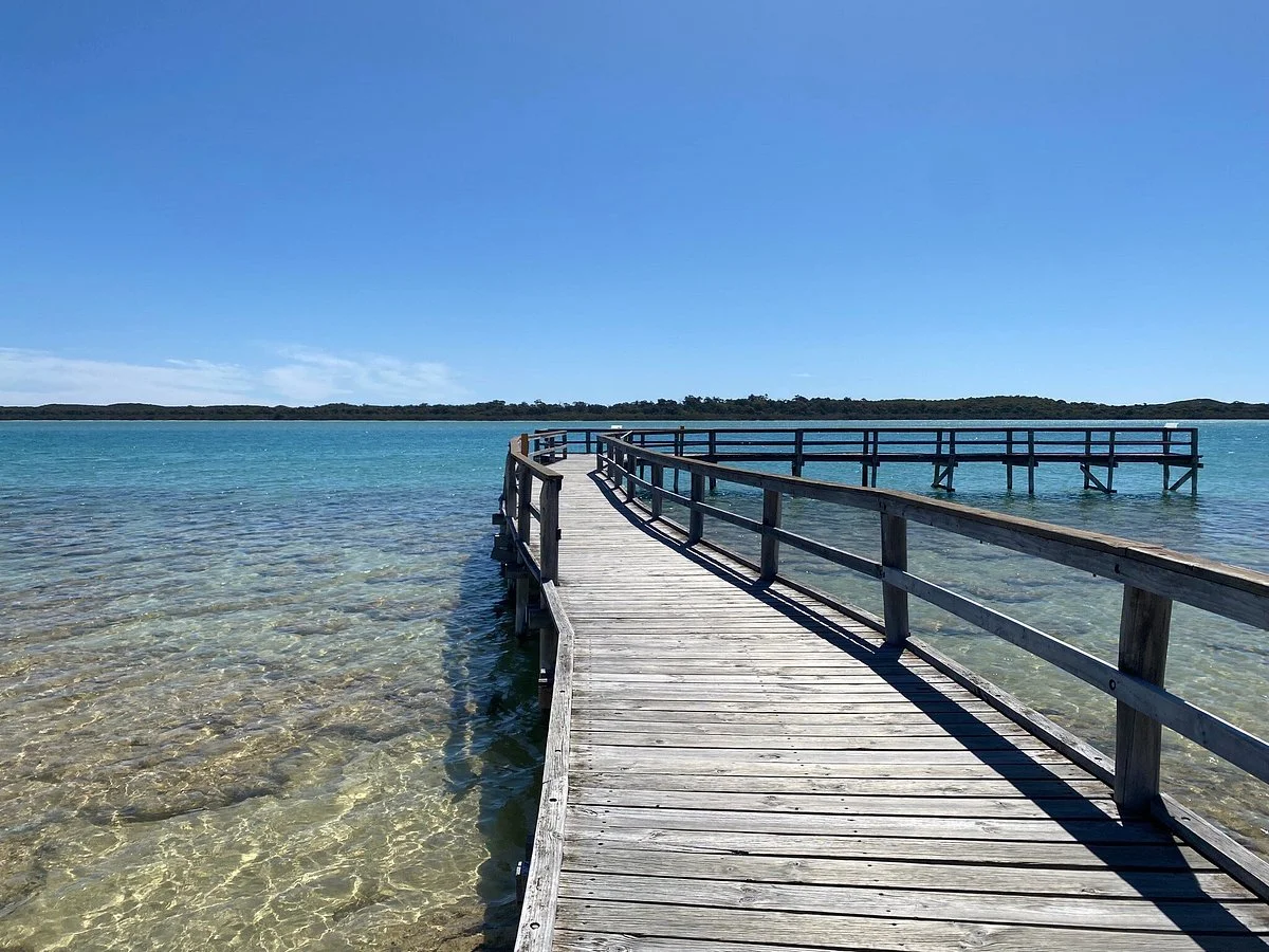 Thrombolites of Lake Clifton