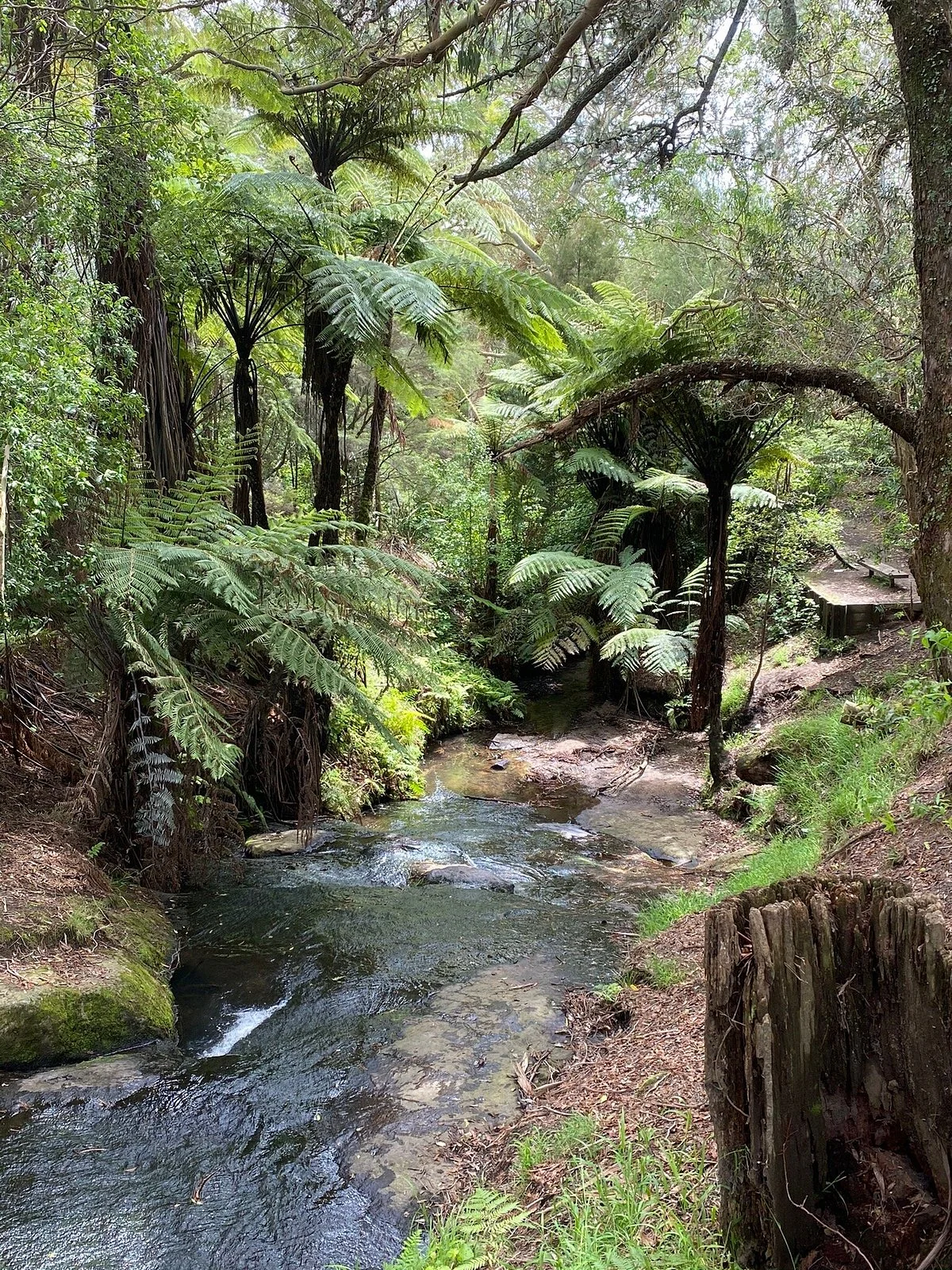 Johnson Reserve