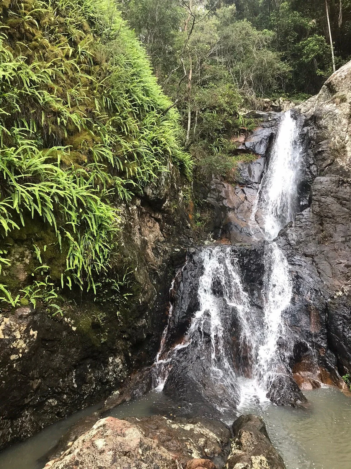 Sunshine Coast Great Walk