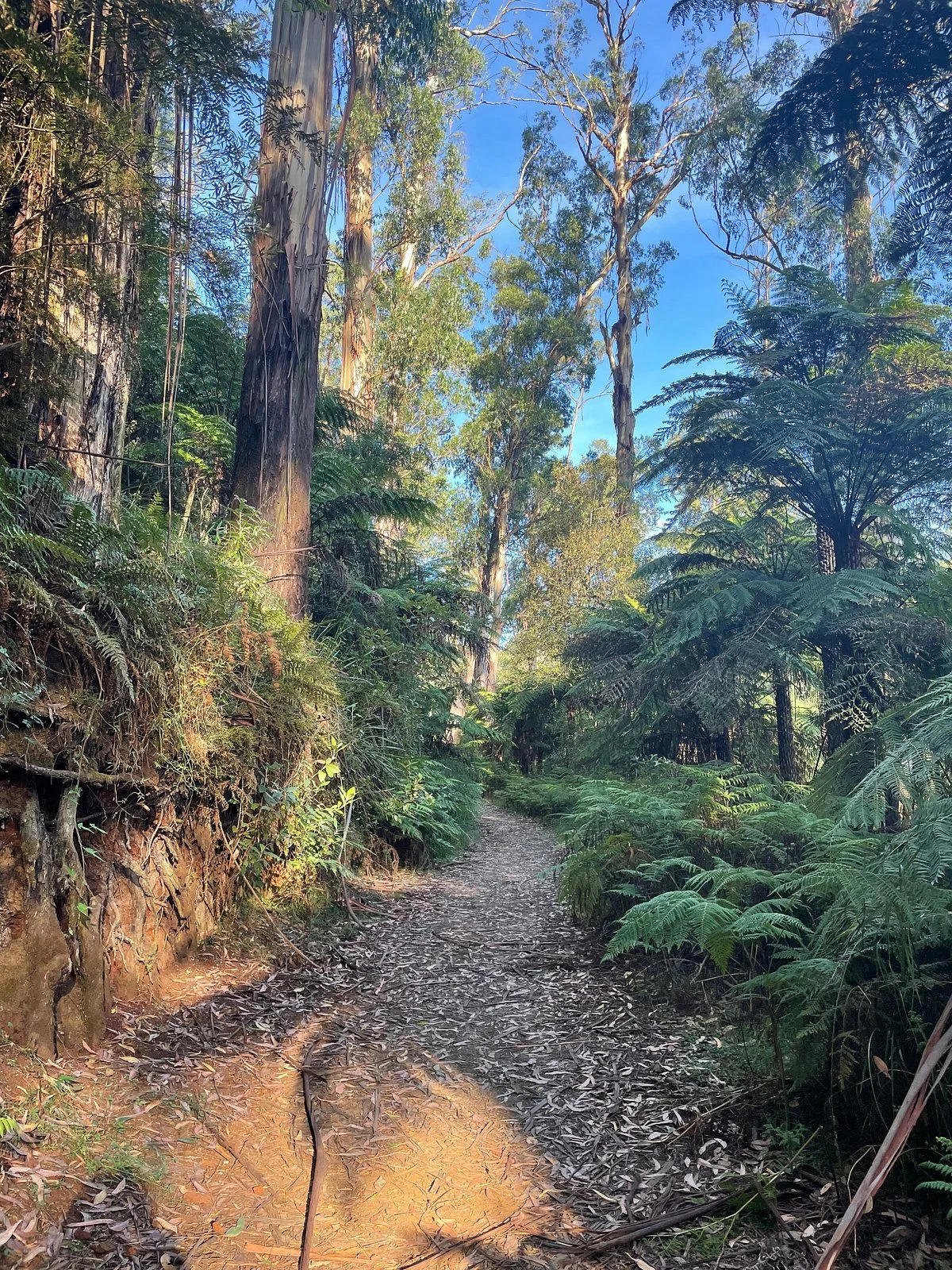 Badger Weir Picnic Area