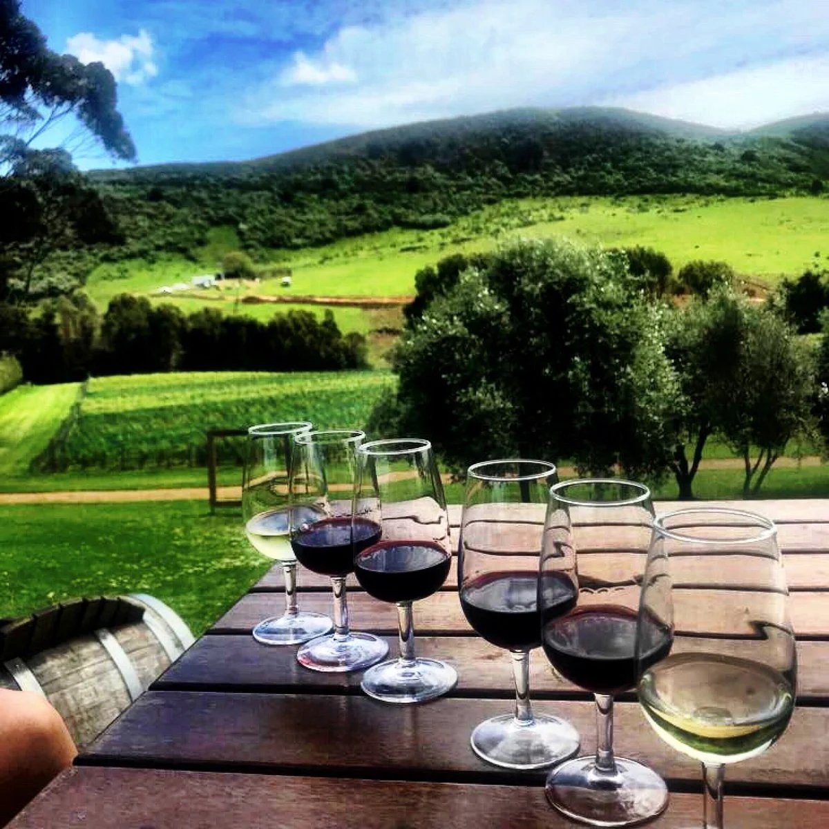 Stonyridge Vineyard