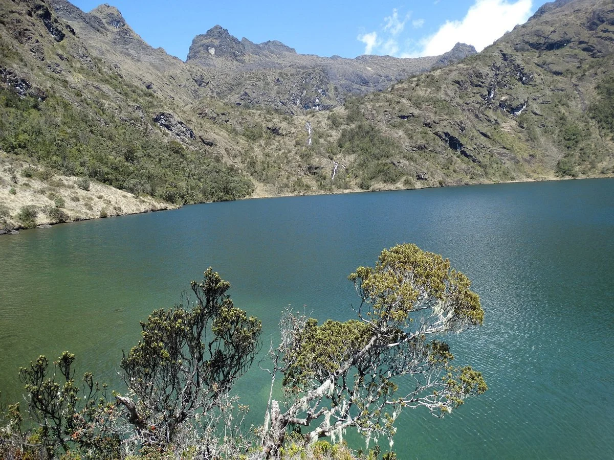 Mount Wilhelm