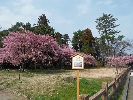 Manyo Park