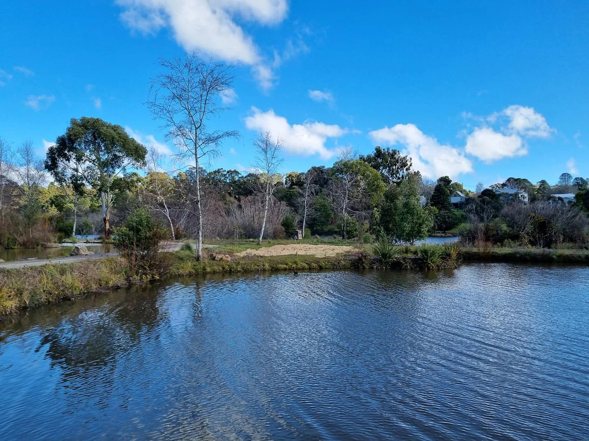 Wombat Flat Mineral Spring