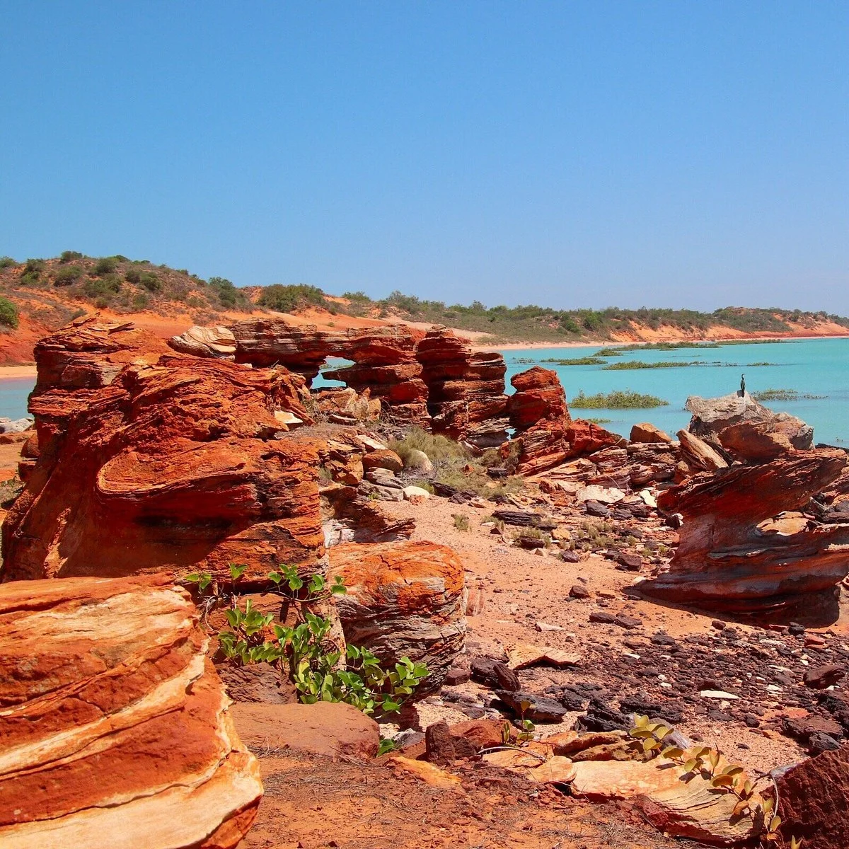 Roebuck Bay