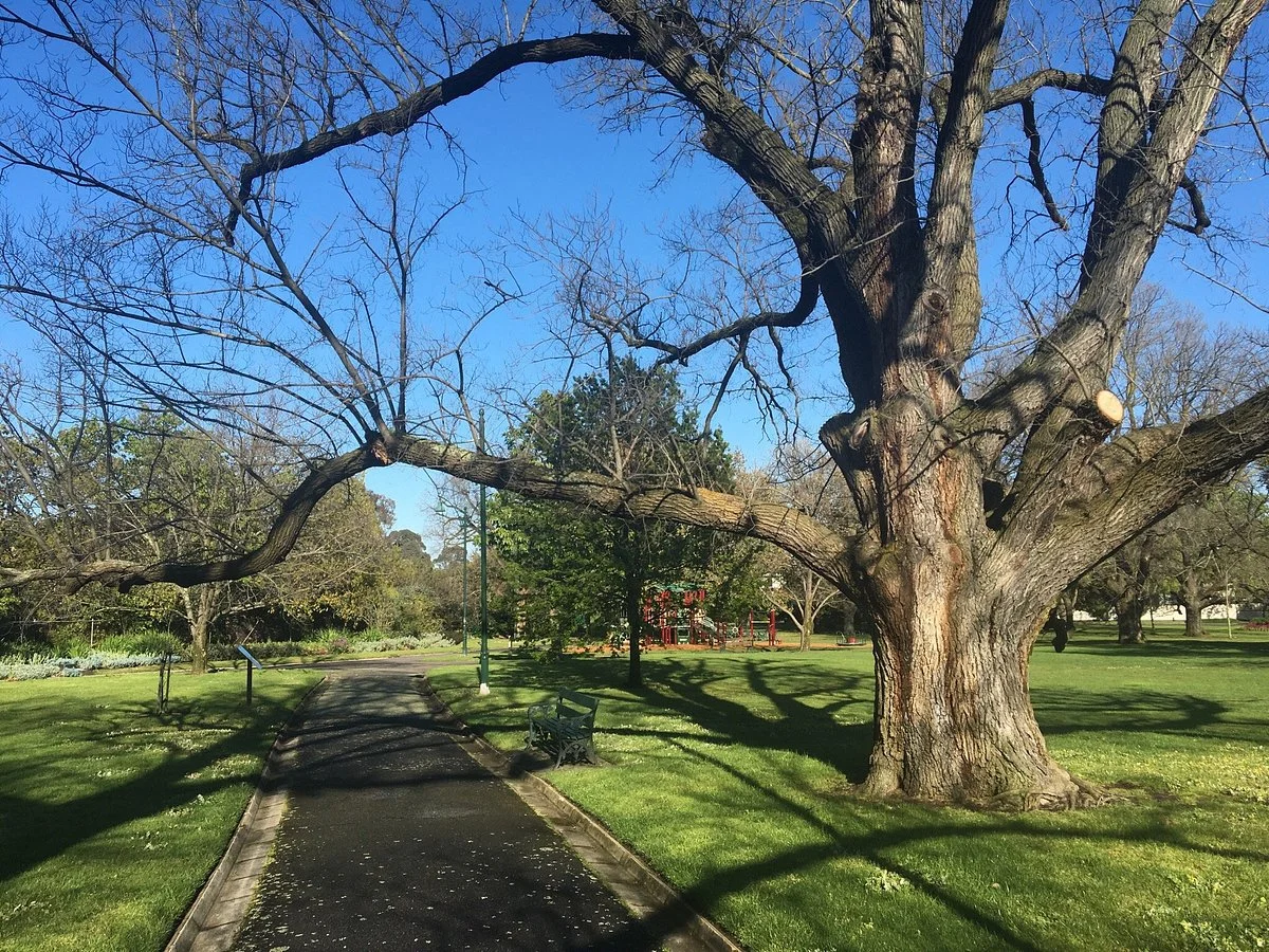 Read Gardens