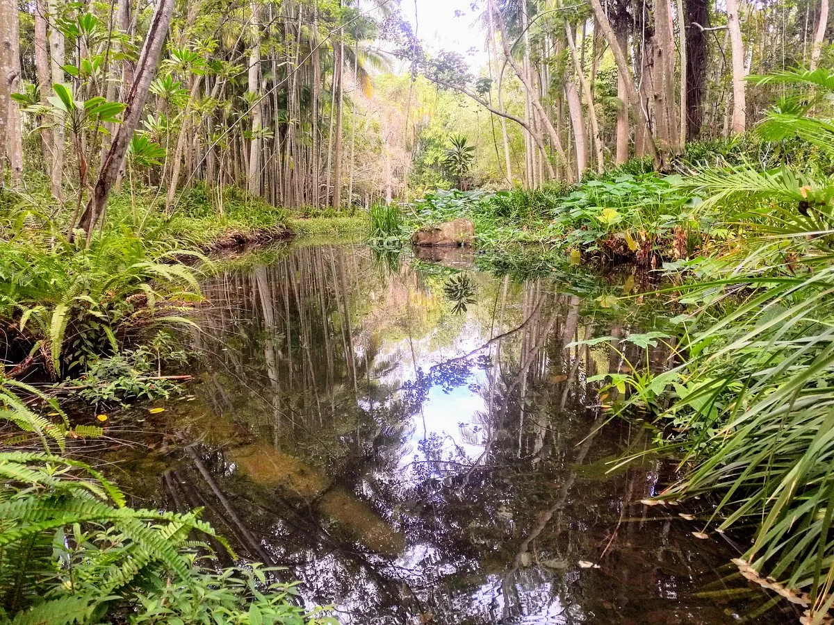 Tondoon Botanic Gardens