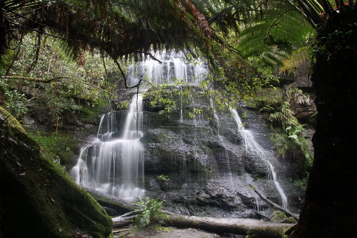 Henderson Falls