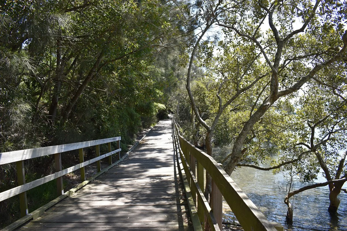 Koala Reserve Mangrove Boardwalk