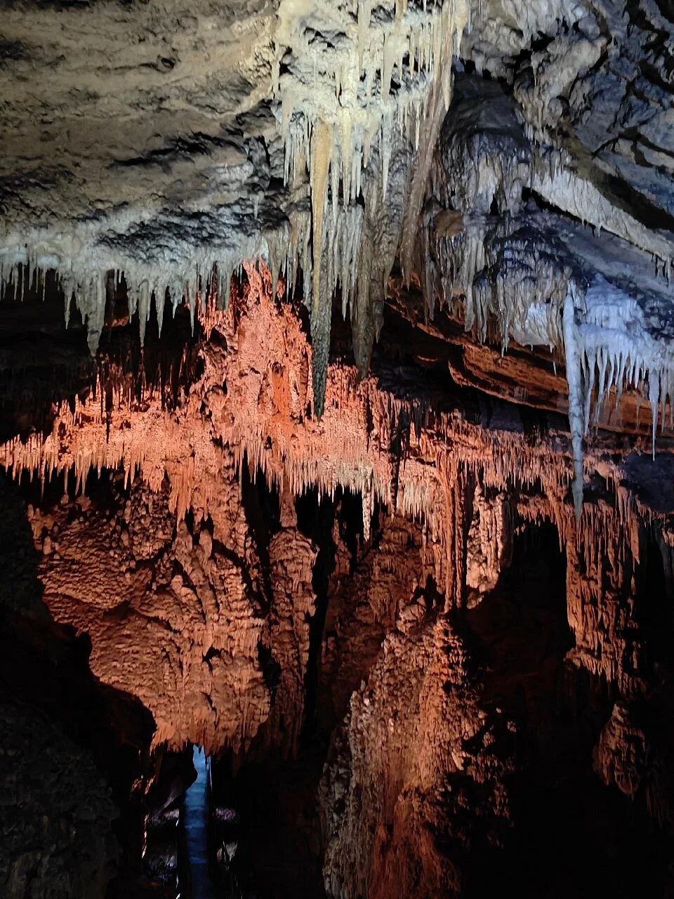 Gunns Plains Caves