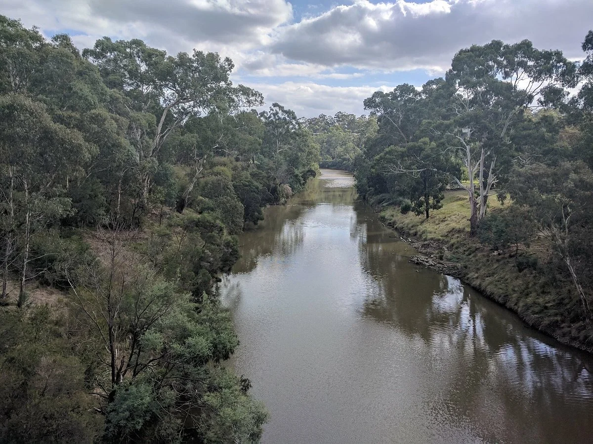 Main Yarra Trail