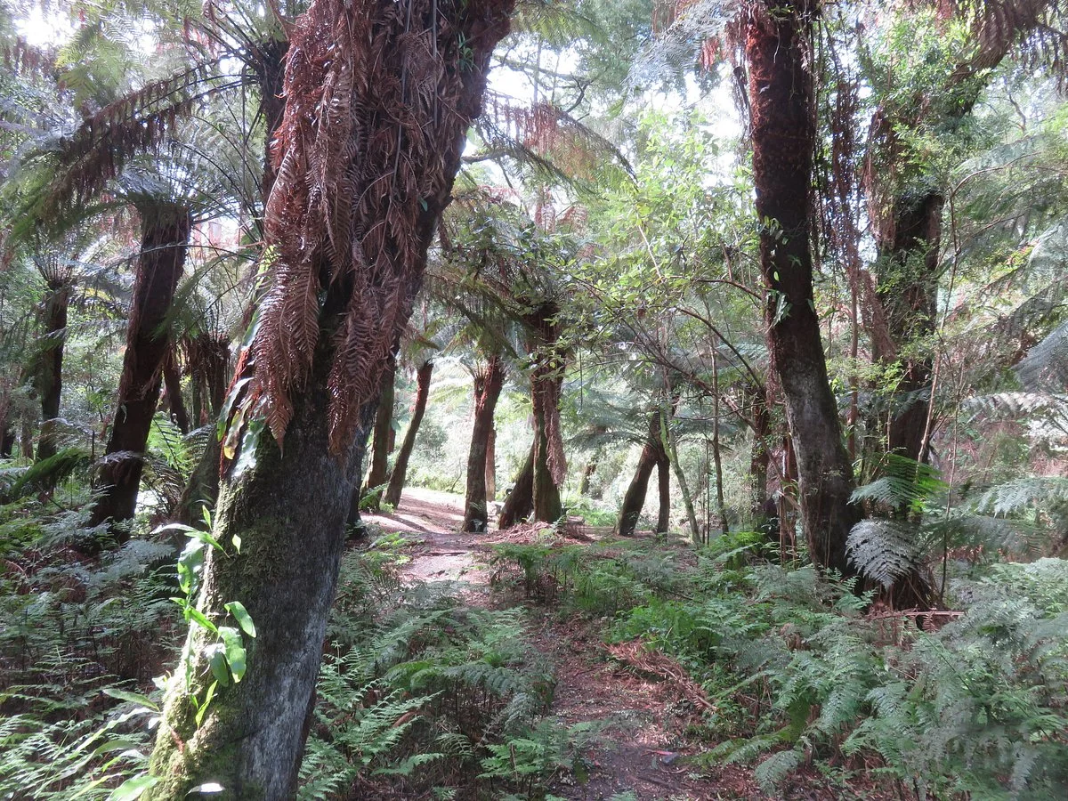 Paradise Picnic Reserve