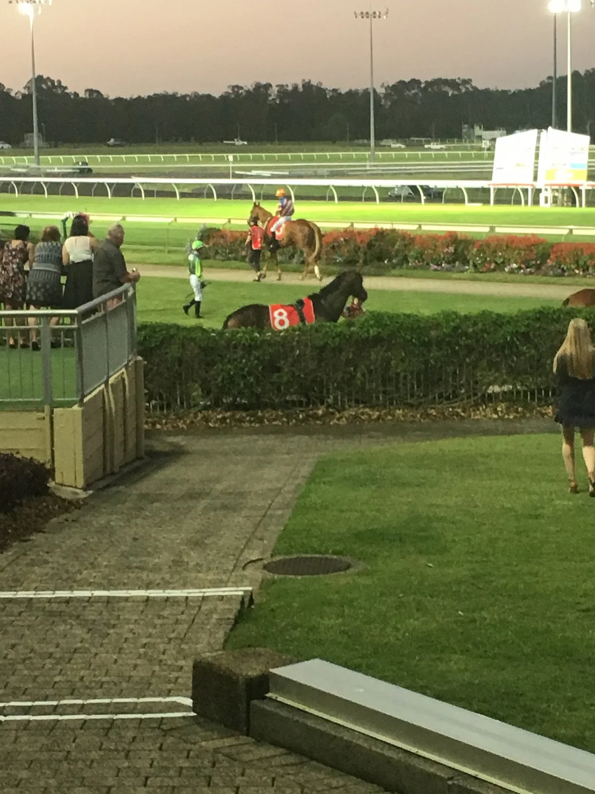 Sunshine Coast Turf Club