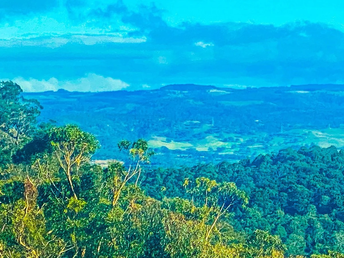 Mount York Lookout