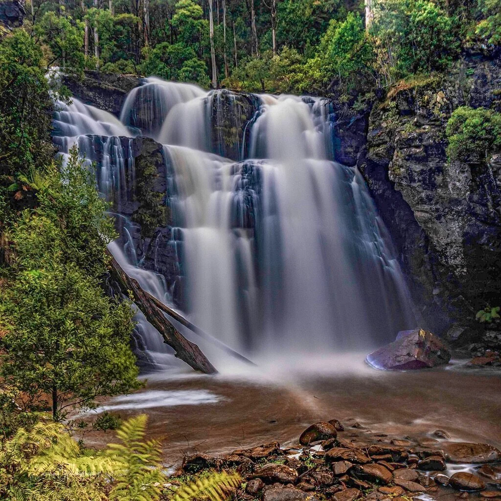 Stevensons Falls